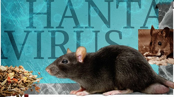 Hantavirus