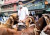 bakri eid file photo